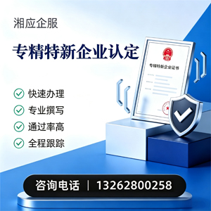 珠海专精特新企业申报服务