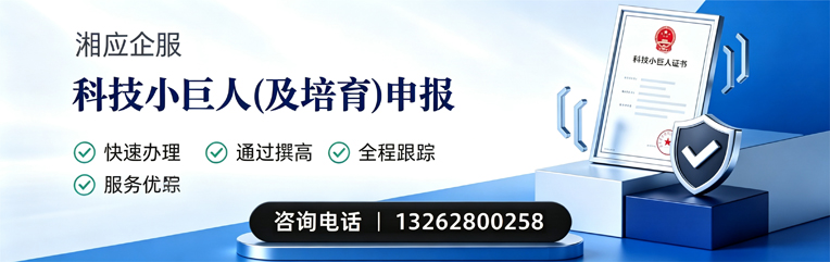 珠海科技小巨人及培育企业申报服务