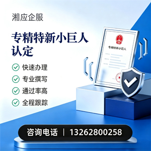 珠海专精特新小巨人申报服务