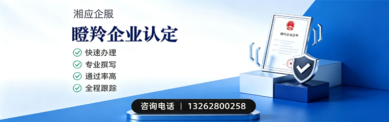 珠海瞪羚企业认定申报服务