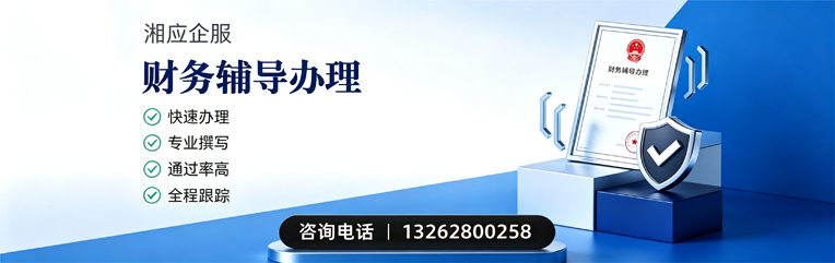 珠海财务辅导申请服务