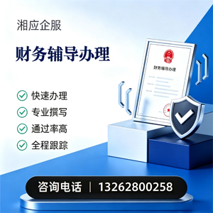 珠海财务辅导申请服务