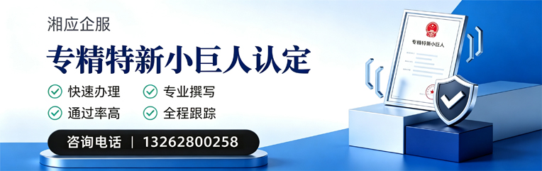 珠海专精特新小巨人申报服务